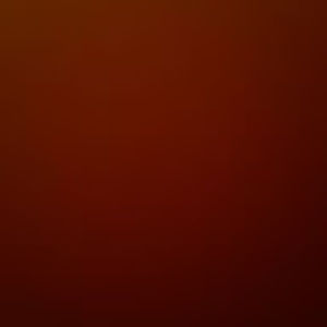 Meet your Posher, Dasha